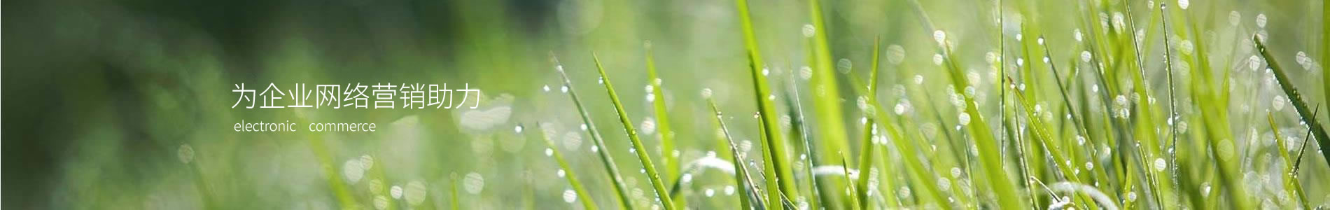 ޢʻƼϺ޹˾
